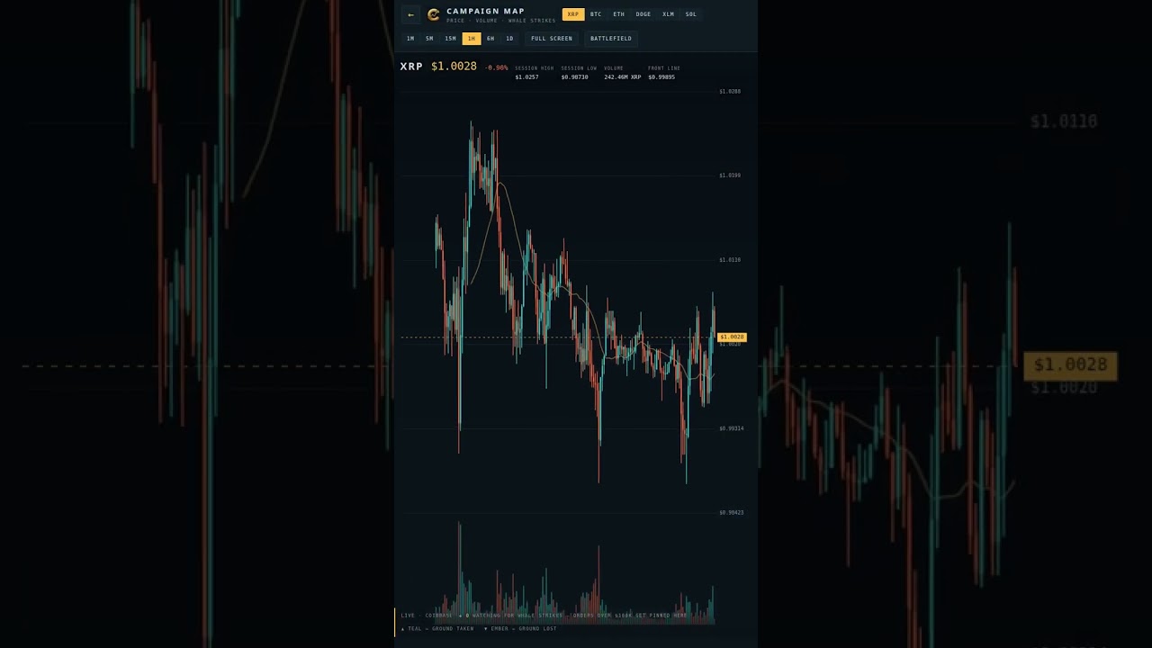 A $100,000 Whale Order Calls In an Air Strike