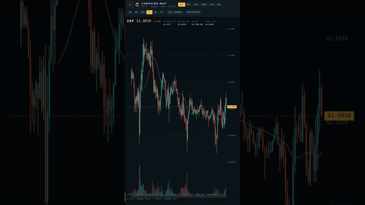 See Exactly Where Every $100k Crypto Order Landed